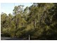 Pheasants Nest NSW 2574