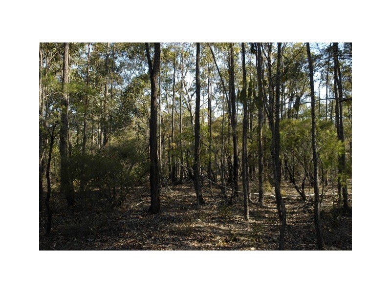 Pheasants Nest NSW 2574