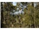 Pheasants Nest NSW 2574