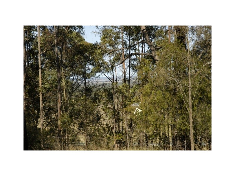 Pheasants Nest NSW 2574