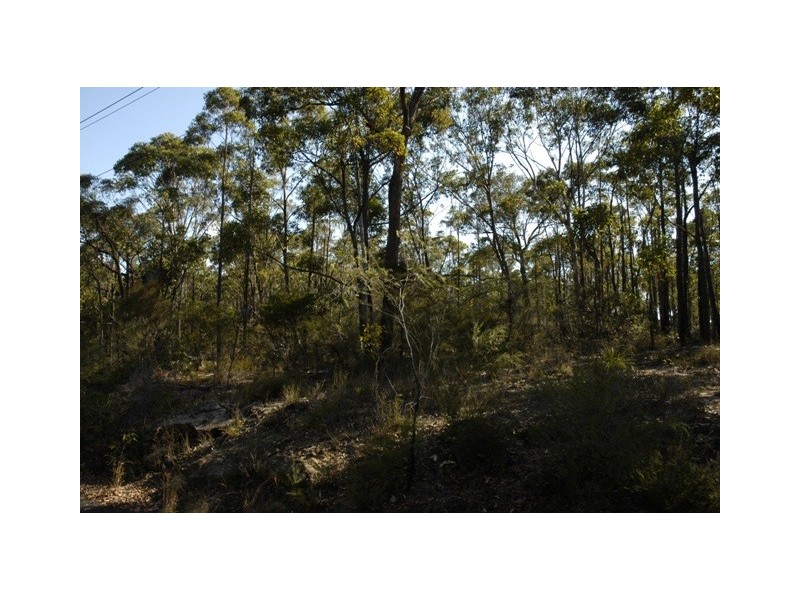 Pheasants Nest NSW 2574