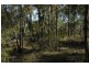 Pheasants Nest NSW 2574