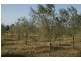 270 Arina Rd, Bargo NSW 2574