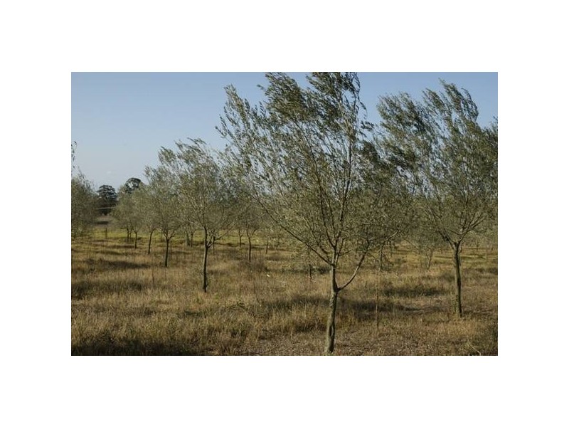 270 Arina Rd, Bargo NSW 2574