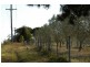 270 Arina Rd, Bargo NSW 2574