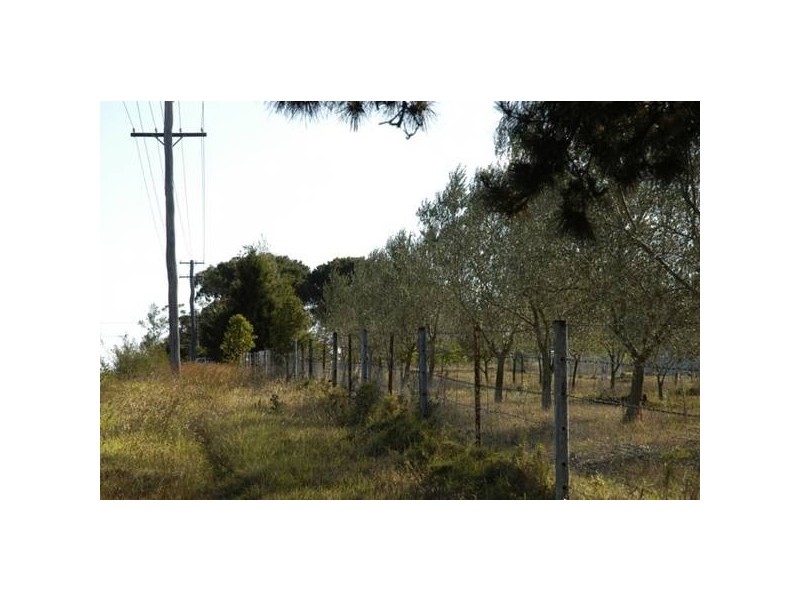 270 Arina Rd, Bargo NSW 2574