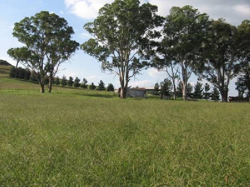 Pheasants Nest NSW 2574