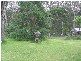 115 Yanderra Road, Yanderra NSW 2574