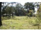 519 Pheasants Nest Road, Pheasants Nest NSW 2574