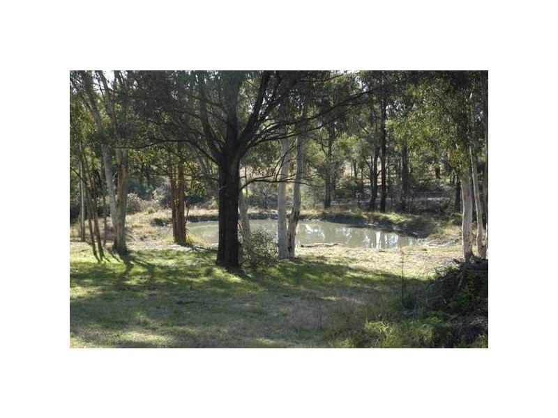 65 Warrobyn Road, Bargo NSW 2574