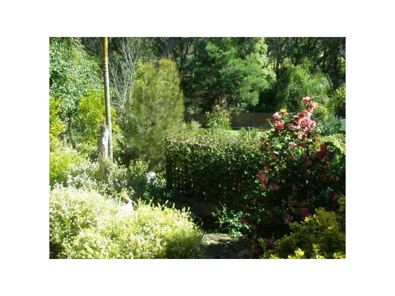 3a Carlton Road, Thirlmere NSW 2572