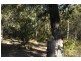 Couridjah NSW 2571