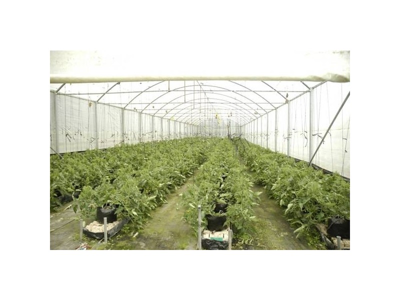 126 Nattai Street, Tahmoor NSW 2573