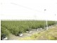 126 Nattai Street, Tahmoor NSW 2573