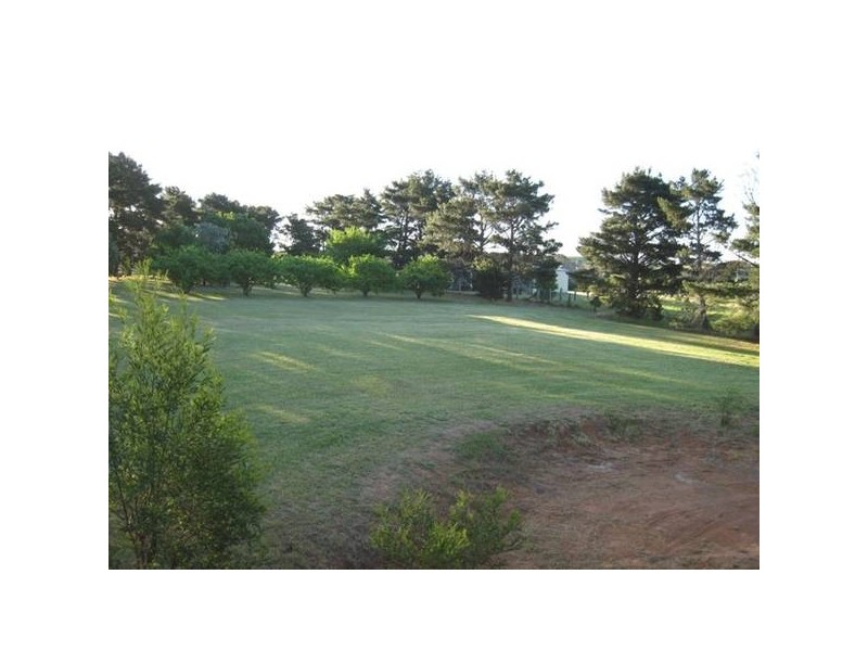 Menangle NSW 2568