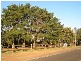 Menangle NSW 2568