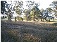 Menangle NSW 2568