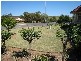 Picton NSW 2571