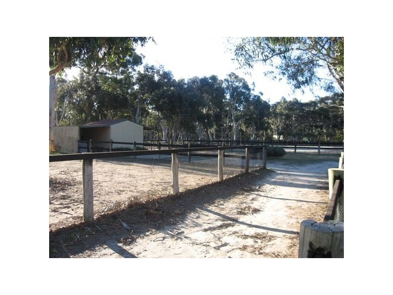 4 Darlington Drive, Hill Top NSW 2575