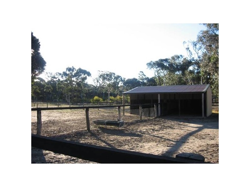 4 Darlington Drive, Hill Top NSW 2575