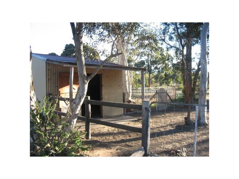 4 Darlington Drive, Hill Top NSW 2575