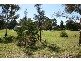 5 Leonard Street, Thirlmere NSW 2572