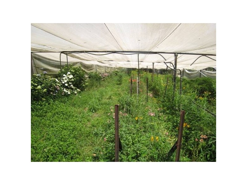 45 Jumbunna Place, Buxton NSW 2571