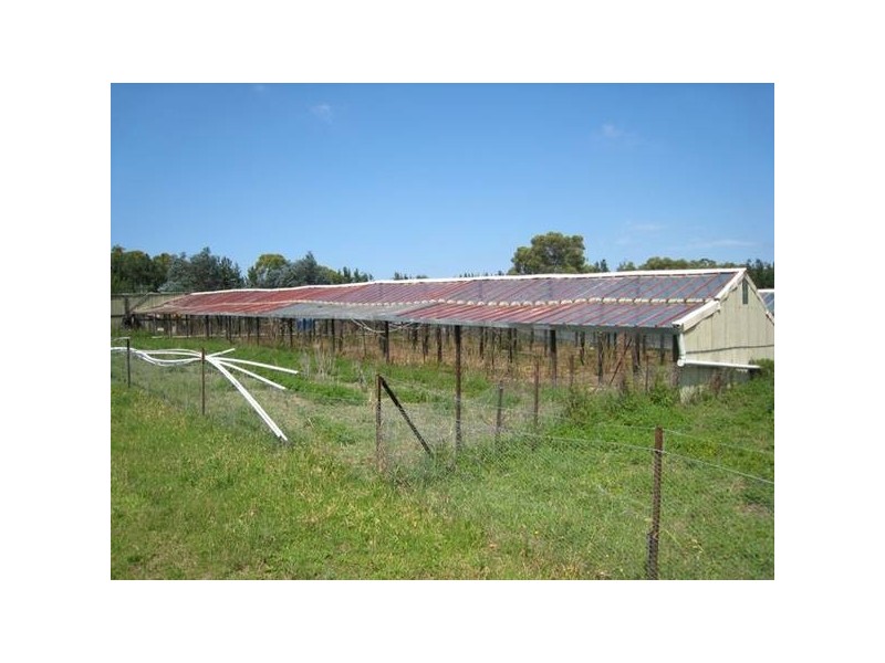 45 Jumbunna Place, Buxton NSW 2571