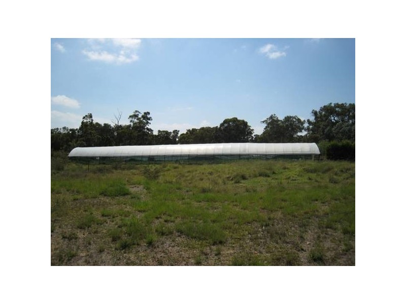 45 Jumbuna Pl, Buxton NSW 2571