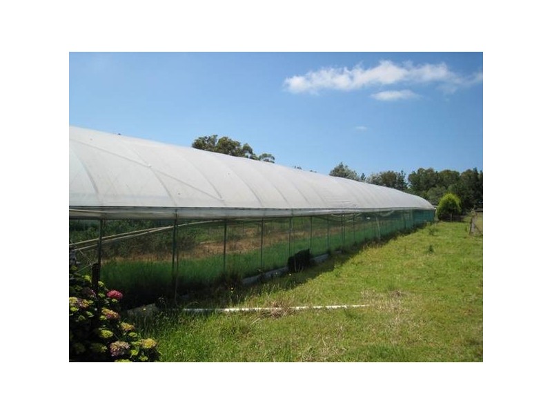 45 Jumbuna Pl, Buxton NSW 2571