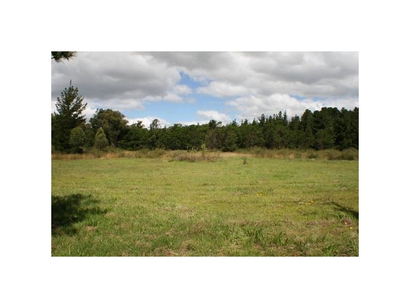 144 Jarvis Street, Thirlmere NSW 2572