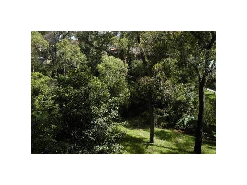 14 Numbat Place, Buxton NSW 2571