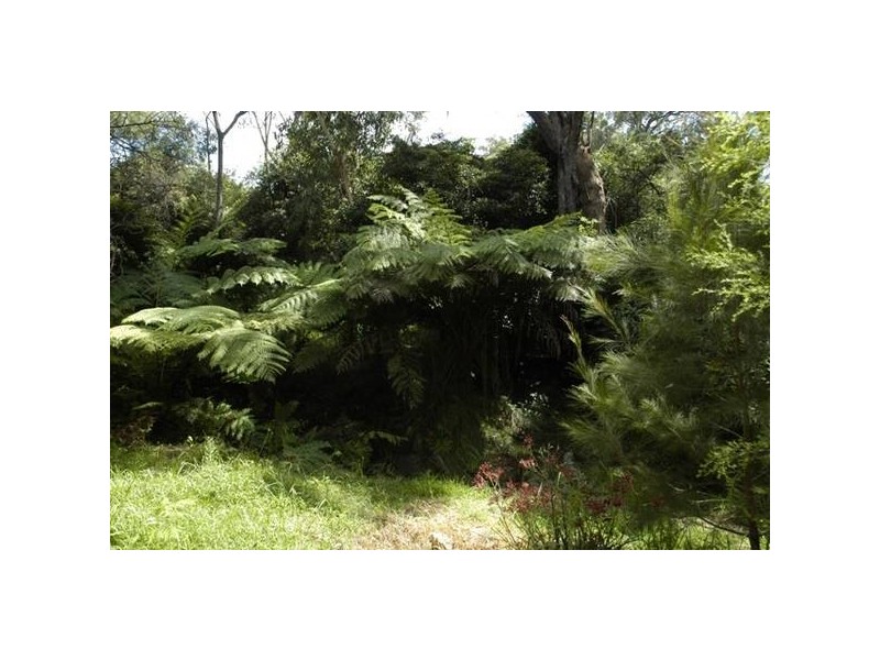 14 Numbat Place, Buxton NSW 2571