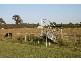 Pheasants Nest NSW 2574