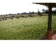 Pheasants Nest NSW 2574