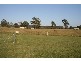 Pheasants Nest NSW 2574