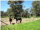 130 Bargo Road, Bargo NSW 2574