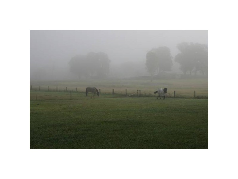 295 Bargo Road, Bargo NSW 2574