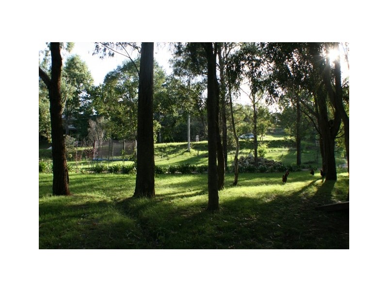 52 Picton Avenue, Picton NSW 2571