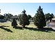 17 Grenfell Street, Buxton NSW 2571