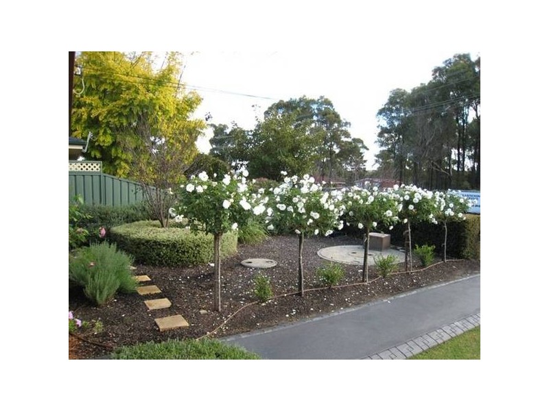 77 Elvy Street, Bargo NSW 2574