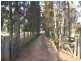 79 Mockingbird Road, Pheasants Nest NSW 2574