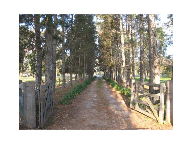 79 Mockingbird Road, Pheasants Nest NSW 2574