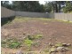 20 Wallaroo Road, Buxton NSW 2571