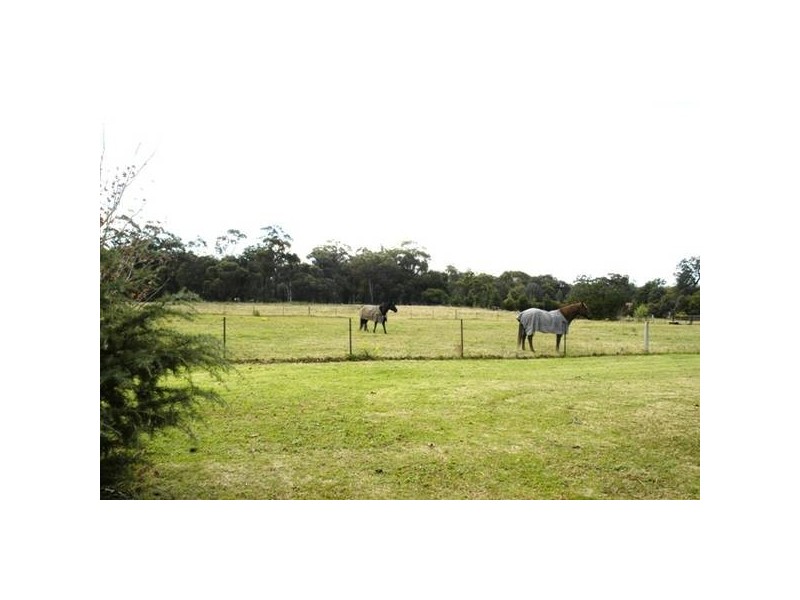 Lot 205 Ovington Road, Yerrinbool NSW 2575