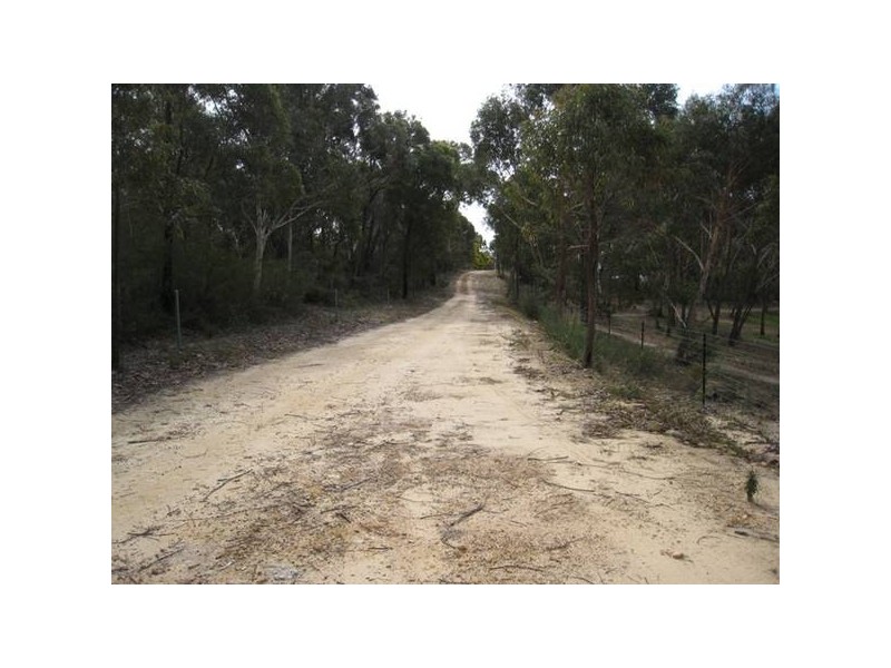 6652 Boundary Rd, Buxton NSW 2571