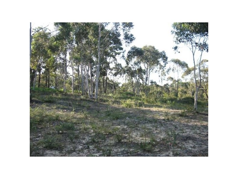 6652 Boundary Rd, Buxton NSW 2571