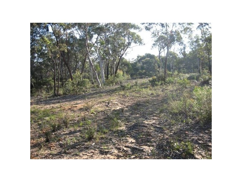 6652 Boundary Rd, Buxton NSW 2571