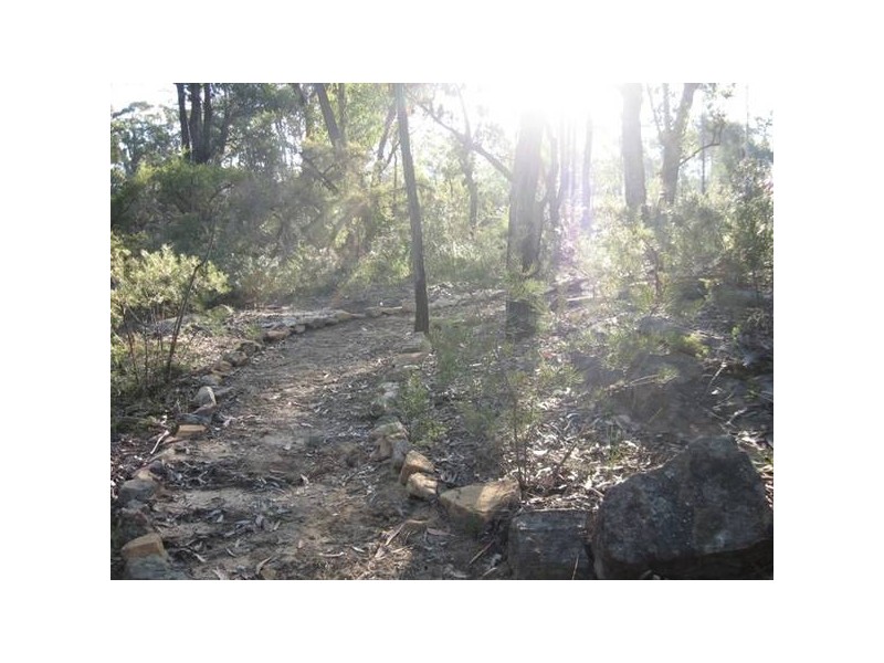 6652 Boundary Rd, Buxton NSW 2571