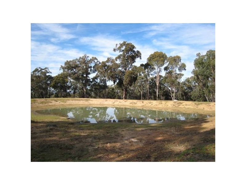 295 Bonds Road, Thirlmere NSW 2572